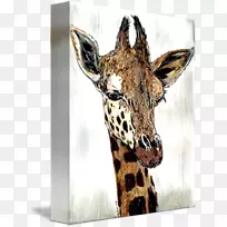 ����¹����ȺҰ������½�����ﳤ��¹ͷ-������