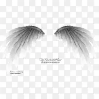 �ڰ׵�ɫ��Ӱ����-�������-������