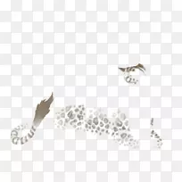 黑豹,狮子,豹,白豹,猫-黑豹-空若网 黑豹,狮子,豹,白豹,猫-黑豹-空若网