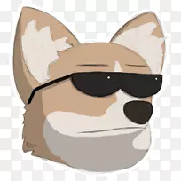 胡须猫鼻子狗猫-空若网 胡须猫鼻子狗猫-空若网