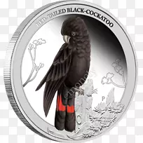 ��˹�������β�����Ļ�β��������-������