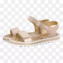 ��Ь��Ь��ɫ��Ь-������