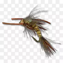 �����˹�Ӭ-������