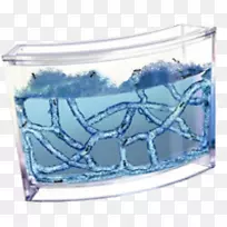 蚁群昆虫-空若网 蚁群昆虫-空若网