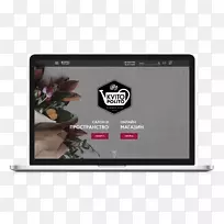 ��������ʾ�豸��ý�����ѧ.VIS���-������