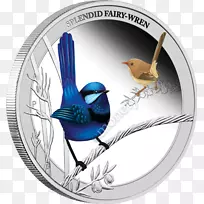 珀斯薄荷鸟,雄鹰,美丽的仙女-空若网 珀斯薄荷鸟,雄鹰,美丽的仙女-空若网