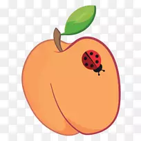 ¬�������ϹϹ�ʵ����-�Ϲ�-������