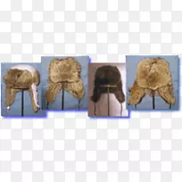 毛皮衣服鼻子-带毛皮帽-空若网 毛皮衣服鼻子-带毛皮帽-空若网