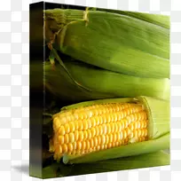 ����о�ϵ�������������ȻʳƷ.��������-������