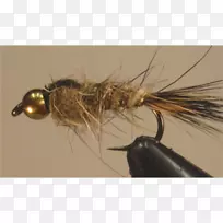 �˹����ö�-������