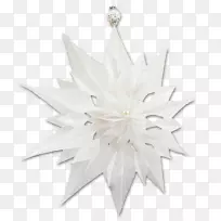 Ê¥µ®×°ÊÎÃ÷ÐÇ-Ê¥µ®½Ú-¿ÕÈôÍø Ê¥µ®×°ÊÎÃ÷ÐÇ-Ê¥µ®½Ú-¿ÕÈôÍø