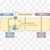 直线点角线-空若网 直线点角线-空若网