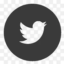 ����ͼ�꣬�罻ý�壬���ͣ�������.�罻ý��-������