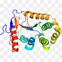人体首饰有机体线剪贴画线-空若网 人体首饰有机体线剪贴画线-空若网