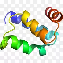 ƽ����Ƽ�����.���-������