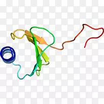 �ߵ������������-������