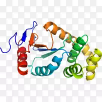 鞋夹艺术设计-空若网 鞋夹艺术设计-空若网