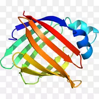 服装配饰线时尚剪贴画线-空若网 服装配饰线时尚剪贴画线-空若网