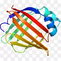 服装配饰线时尚剪贴画线-空若网 服装配饰线时尚剪贴画线-空若网