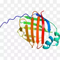 ������Ϊ���л�����������-������