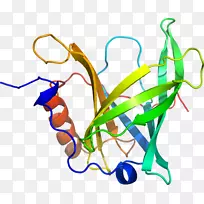 直线点植物茎夹艺术线-空若网 直线点植物茎夹艺术线-空若网