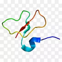 β防御素1β-防御素2α防御素-空若网 β防御素1β-防御素2α防御素-空若网