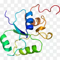 人体首饰有机体线剪贴画线-空若网 人体首饰有机体线剪贴画线-空若网