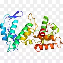 蔬菜有机体系列动物剪贴画-蔬菜-空若网 蔬菜有机体系列动物剪贴画-蔬菜-空若网