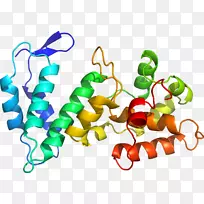 人体珠宝蔬菜有机体系列剪贴画-蔬菜-空若网 人体珠宝蔬菜有机体系列剪贴画-蔬菜-空若网
