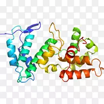 蔬菜有机体系列剪贴画-蔬菜-空若网 蔬菜有机体系列剪贴画-蔬菜-空若网