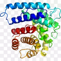 人体首饰有机体线剪贴画线-空若网 人体首饰有机体线剪贴画线-空若网