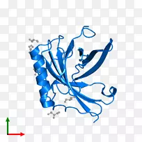 ƽ����ƿ�ͨƬ�������-������