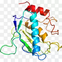 �ߵ������������-������