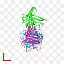 ͼ��������������-������