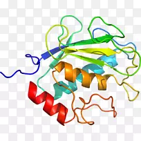 人体行为线有机体点剪贴画线-空若网 人体行为线有机体点剪贴画线-空若网