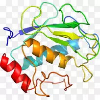 线点生物剪贴画线-空若网 线点生物剪贴画线-空若网