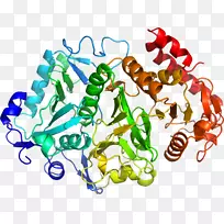 �޼�׵���������鱦������.�鱦-������