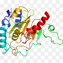 �߲��л���ϵ�м�����-�߲�-������