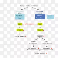活性氧、氧化应激、卵巢癌-空若网 活性氧、氧化应激、卵巢癌-空若网