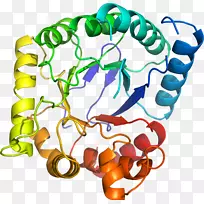 人体首饰有机体线剪贴画线-空若网 人体首饰有机体线剪贴画线-空若网