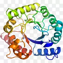 人体首饰有机体线剪贴画线-空若网 人体首饰有机体线剪贴画线-空若网