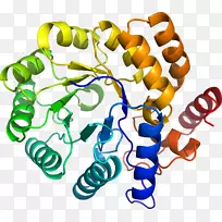 �����߶����������-������