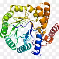 人体首饰有机体线剪贴画线-空若网 人体首饰有机体线剪贴画线-空若网
