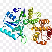人体首饰有机体线剪贴画线-空若网 人体首饰有机体线剪贴画线-空若网