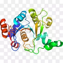 ���������л����߼�������-������