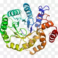 人体首饰有机体线剪贴画线-空若网 人体首饰有机体线剪贴画线-空若网