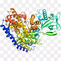 ����ʳ���鱦����������-������