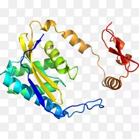 人体首饰有机体线剪贴画线-空若网 人体首饰有机体线剪贴画线-空若网