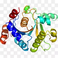 人体首饰有机体线剪贴画线-空若网 人体首饰有机体线剪贴画线-空若网
