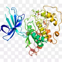 Ö²Îï¾¥Êß²ËÏß¼ÐÒÕÊõ-Êß²Ë-¿ÕÈôÍø Ö²Îï¾¥Êß²ËÏß¼ÐÒÕÊõ-Êß²Ë-¿ÕÈôÍø